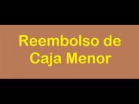 Taller Aplicativo #11 Guía de Aprendizaje - Arqueo de Caja Menor NIIF 7 Sección 7 Flujos de efectivo